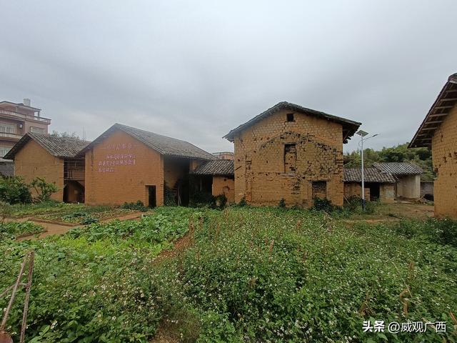 威观广西：桂平村村通应该要有公共交通运营，助力文旅发展！