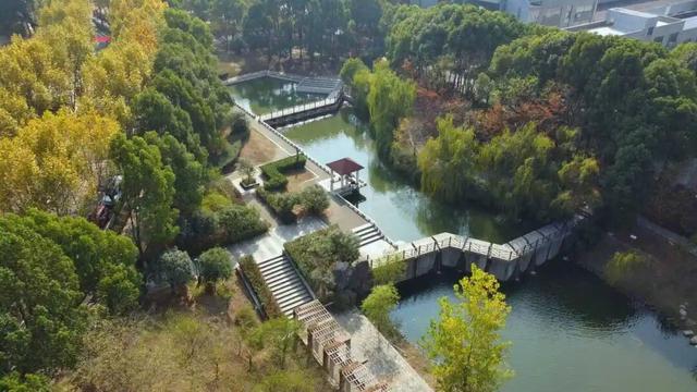 武汉工程大学27位学者入选全球前2%顶尖科学家榜单