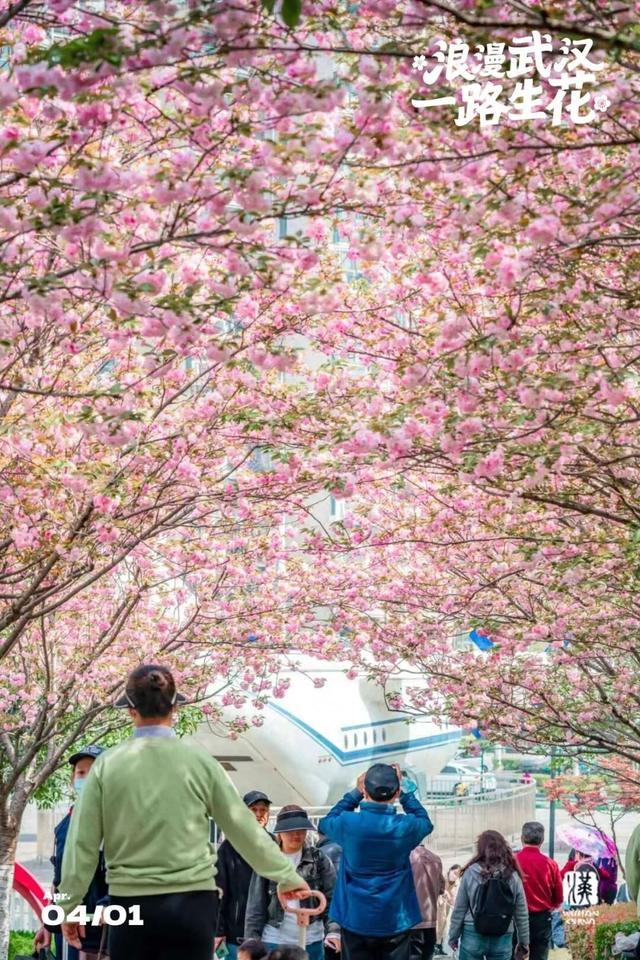 高铁票售罄！直冲29℃，都是晴天，全城爆花迎客