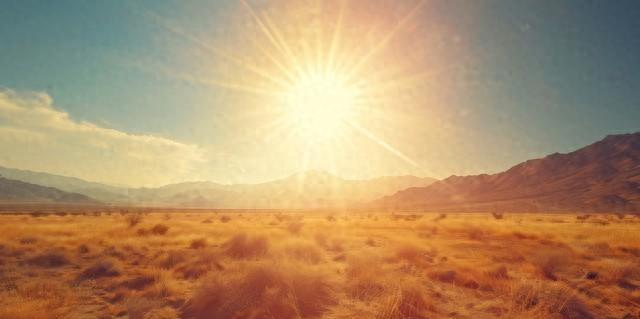 gpt优化简历（欲望强的女人）