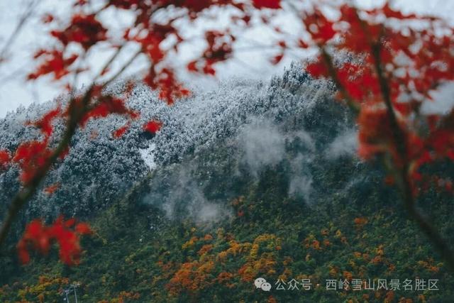 首个“秋假”！四川这些景区宣布免门票