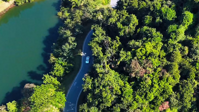 藏在广州的“小新西兰”：水声水库环湖秘境，5公里治愈徒步路线