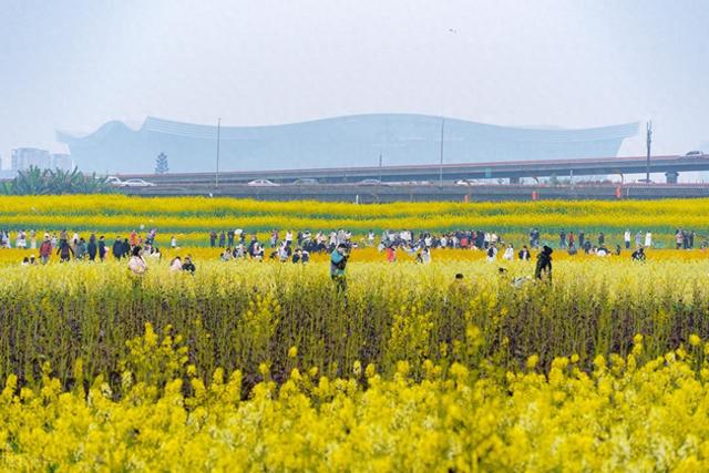 清明"黄金周"收官：出行半径超800公里，数据背后藏着什么信号