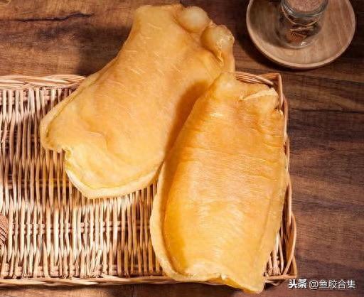 鳘鱼胶有哪些品种 2026年鳘鱼胶分几种