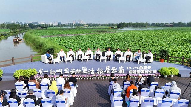 旅居云南曲靖专场发布会丨19.7℃的夏天！曲靖：好吃、好玩、好在！