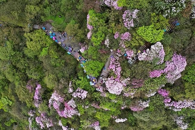 贺兰山网评：“五一”文旅消费“热力足” 照见活力中国的澎湃动能