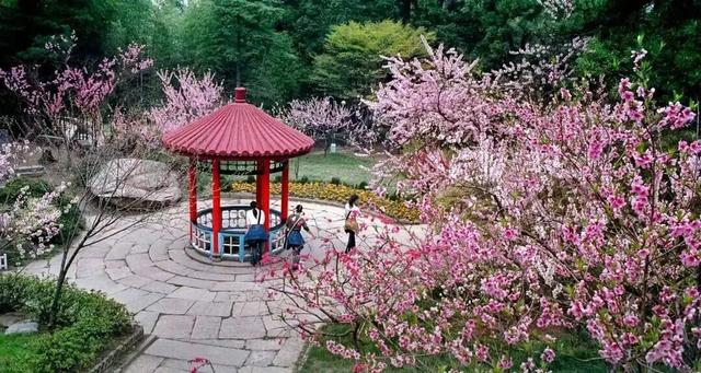 一花一瀑一云烟，庐山春意正当时