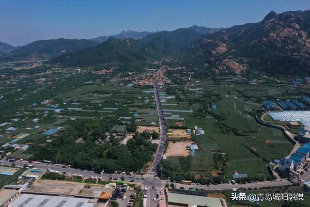 城阳宫家村葡萄季甜蜜来袭，采摘攻略请收好！