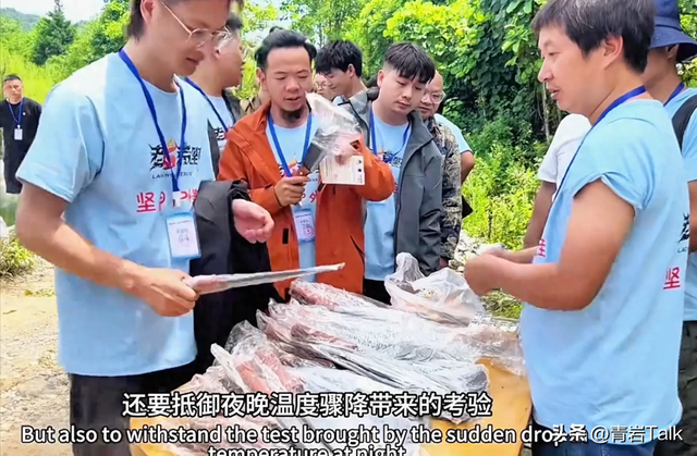 拒绝滤镜宣传片！七星山靠 “真实求生” 出圈，门票收入暴涨 310%