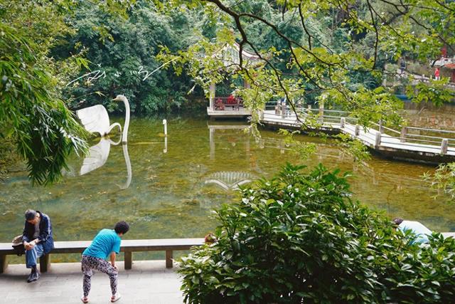 藏在贵阳市中心的“城市绿肺”，免费4A级景区，野生猕猴成群？