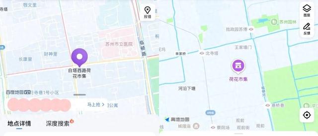 绝对“顶流”！这周末，苏州专门为TA过生日...