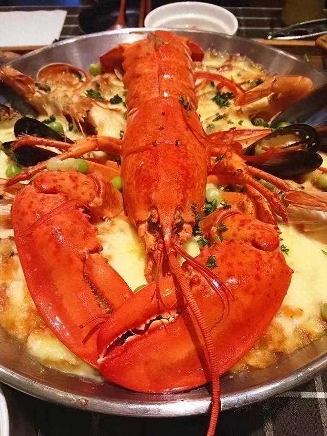 seo快速排名怎么样（SEO快排代发2025推荐）