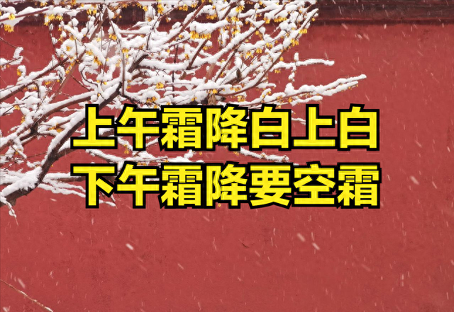 “上午霜降白上白，下午霜降要空霜”，今年霜降几点？有啥说法？