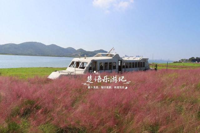 浙江宁波这片山海粉黛花海火了，但旁边风景更美，堪称宁波小新疆