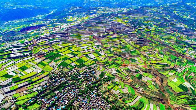 “五一”赴约武山：十万金黄作序，一池温汤洗尘