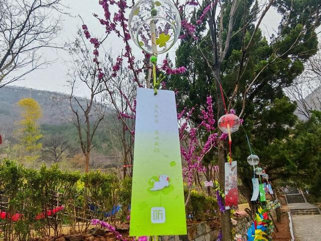 春风裂谷·花漾寻野 | 清明假期，熊耳山邀你共赴一场江湖侠梦！