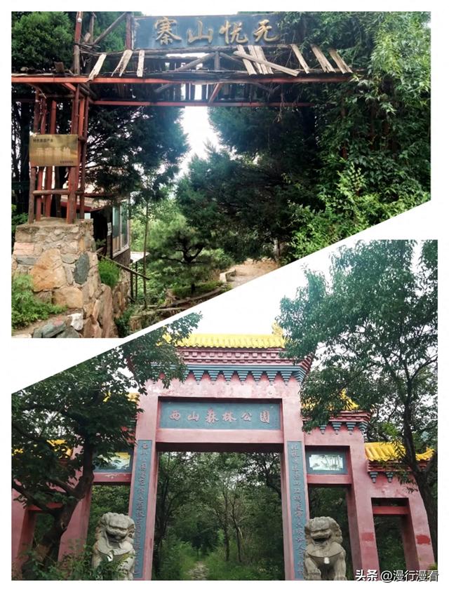 心中有风景，处处有惊喜——游南山森林公园