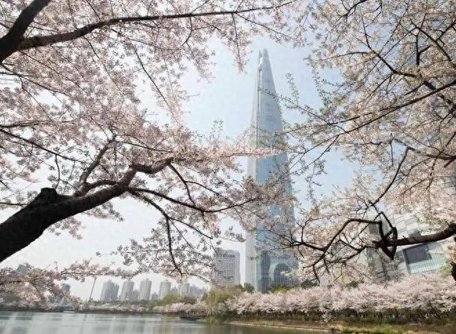 瞄准国庆黄金周！韩国对华团队游限时免签，中国游客对韩国旅游业有多重要？