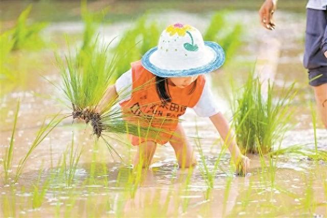萌娃们化身全能牧场主！2025年华侨城旅游狂欢节光明分会场开幕