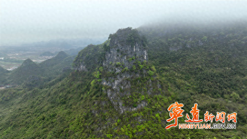 宁远：石楼峰上石枞秀 千年苍劲映九嶷