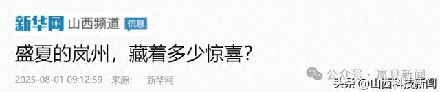盛夏的岚州,藏着多少惊喜?