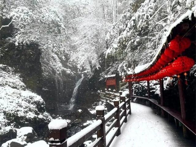 冬天的德阳有多安逸？这几条宝藏线路给你答案→