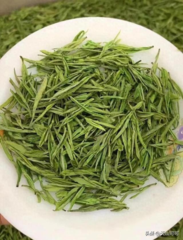 安吉白茶是什么茶型（安吉白茶属于什么茶类）