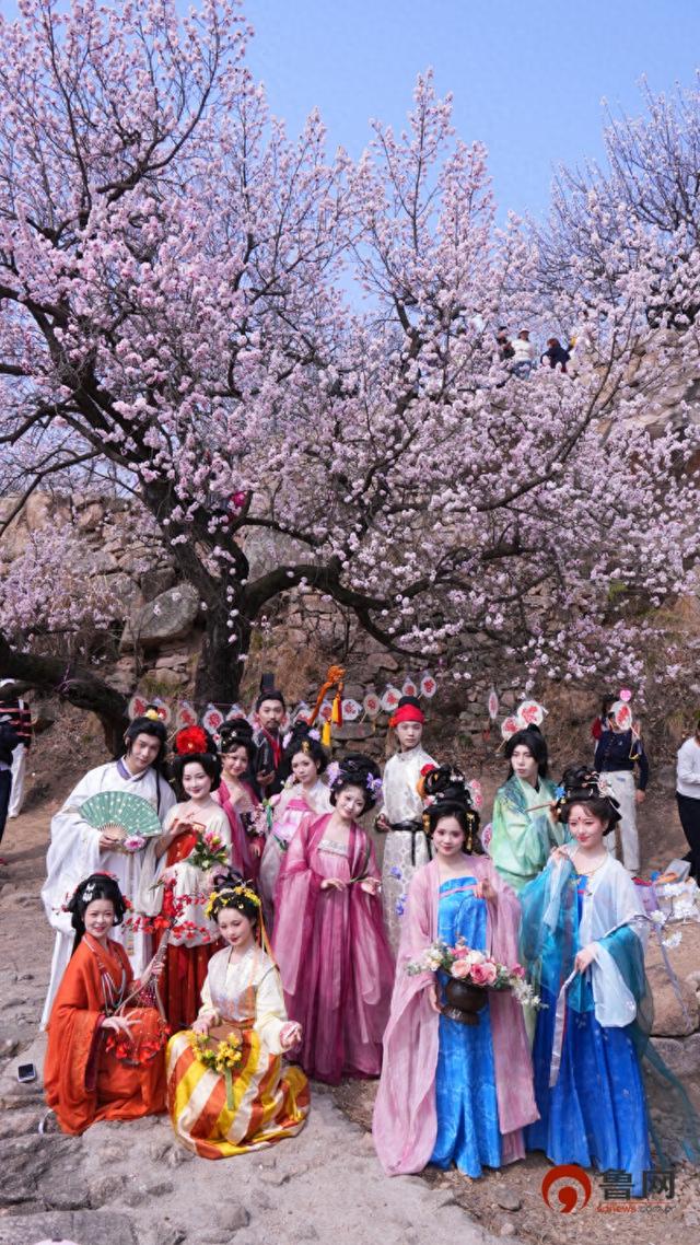 从“赏花游”到“春日经济” 日照的春天“一路生花”