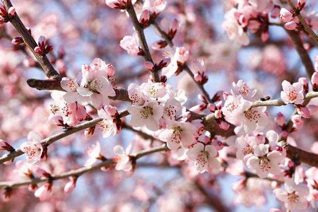 辽滨春色美景上线！邀您共赏~