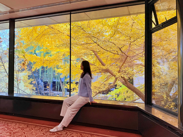 一窗京秋入画来！首都宾馆的银杏美景太好拍了