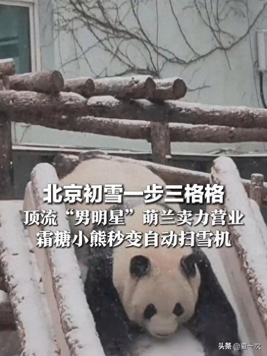 初雪的故宫“一步三格格”！