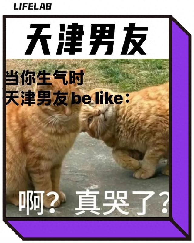 北方人的赛级老公：天津男