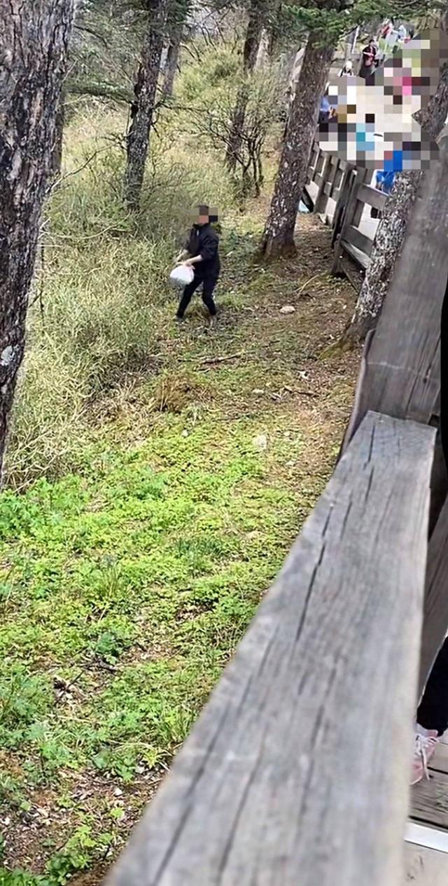 保洁员直接将袋装垃圾往山下扔 景区致歉 网友：为何不转运？｜封面深镜