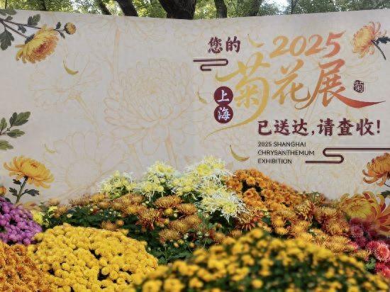 2025上海菊花展在共青森林公园举办 攻略请收好