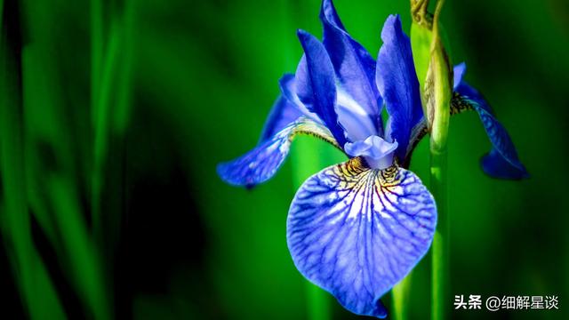 属猪，12月22日，星期一 ，可能会有事发生了