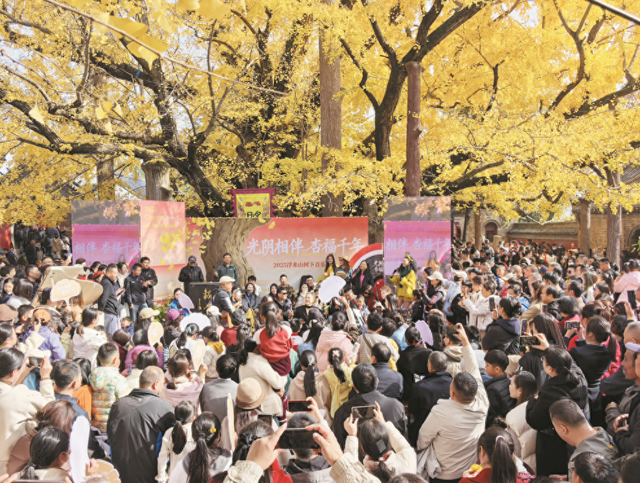 银杏树下把歌唱