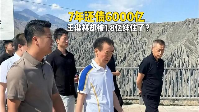 王健林“限高	”闹乌龙！7年还债6000亿	，却被1.8亿绊住了？