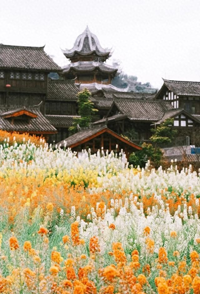 四川最美的6个古镇，有车没车，此生必去一次！