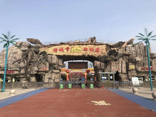 跟着马拉松看诸城（文旅篇）——诸城动物园