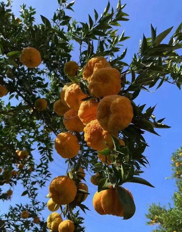 五十岁退休后，我靠三份工作维持生活，却意外发现人生新意义