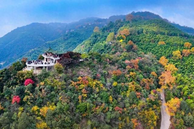 在红枫季，品味莫干山的绝代“枫”华
