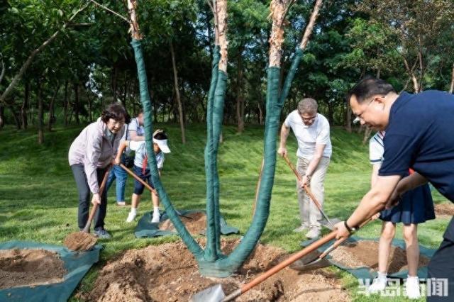 友城合作，共植未来！青岛国际友谊林启动仪式成功举行