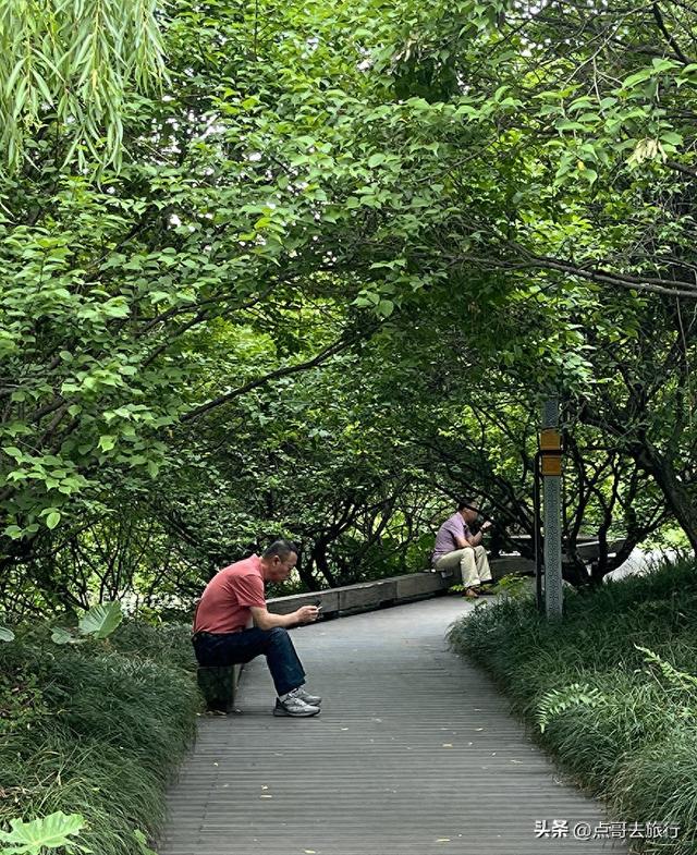 成都市内乘凉公园，风景秀美、清凉，不要门票，地铁公交可达！