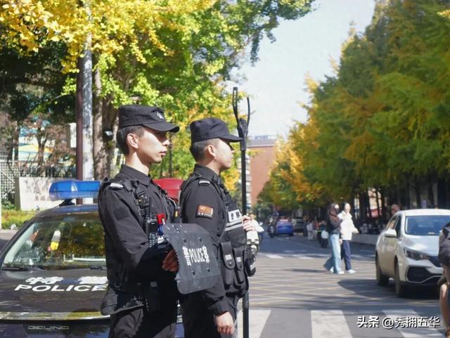 【警景相随.平安冬鸥】杏黄鸥舞待君来，平安守护提前行！