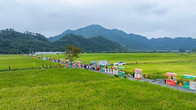 千亩稻田与现代舞台交织，耕织宋韵遇见未来