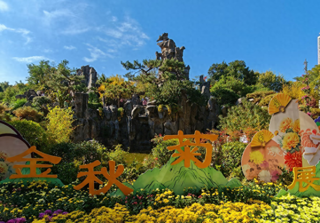 不用跑远门！郑州市区这个公园就能免费看菊花展→