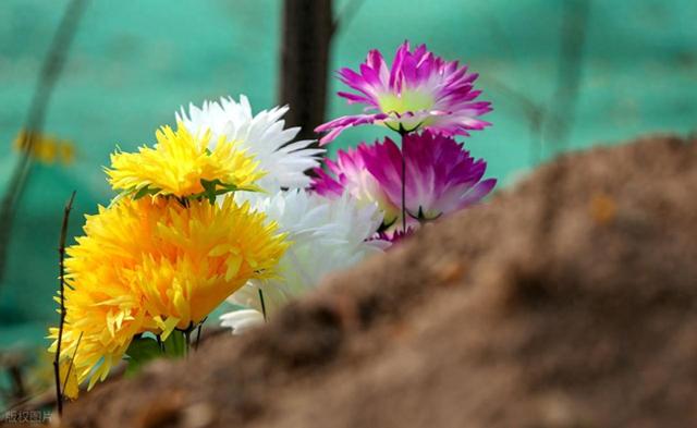 “寒衣不上坟，上坟辱先人”，寒衣节需要上坟吗？什么人不要去？