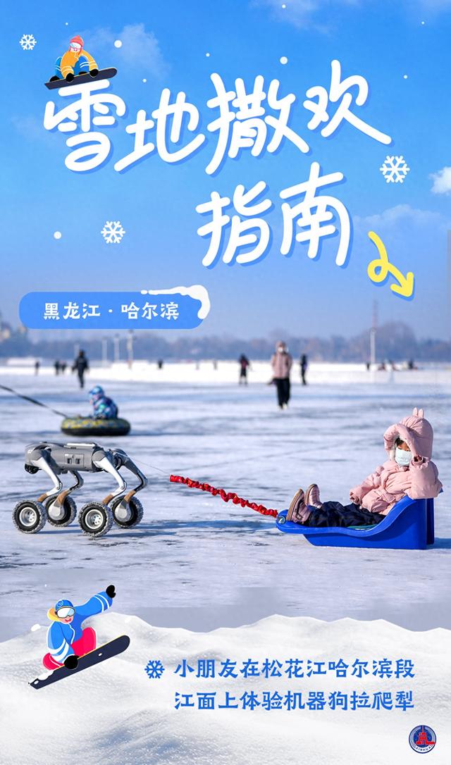 海报｜雪地撒欢指南