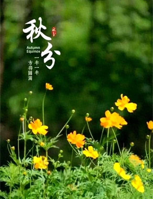 “上午秋分，大雪封门”！明日9月23日秋分，今年冬天要冷到哭？