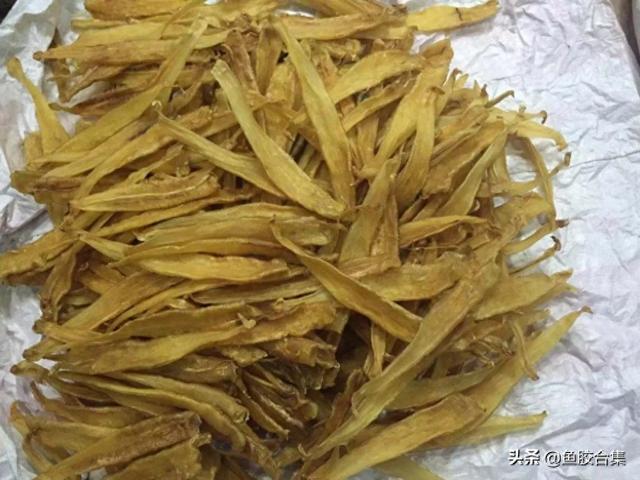 金龙鱼胶的营养价值 2026年金龙鱼胶的营养价值是什么